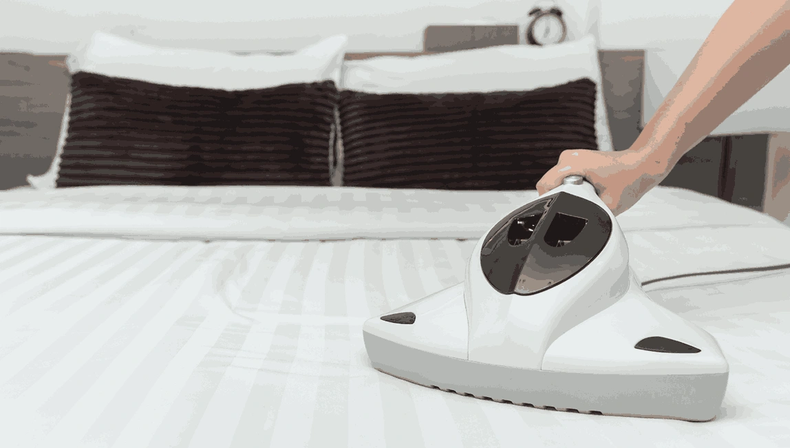 Professional Mattress Cleaning Reservoir